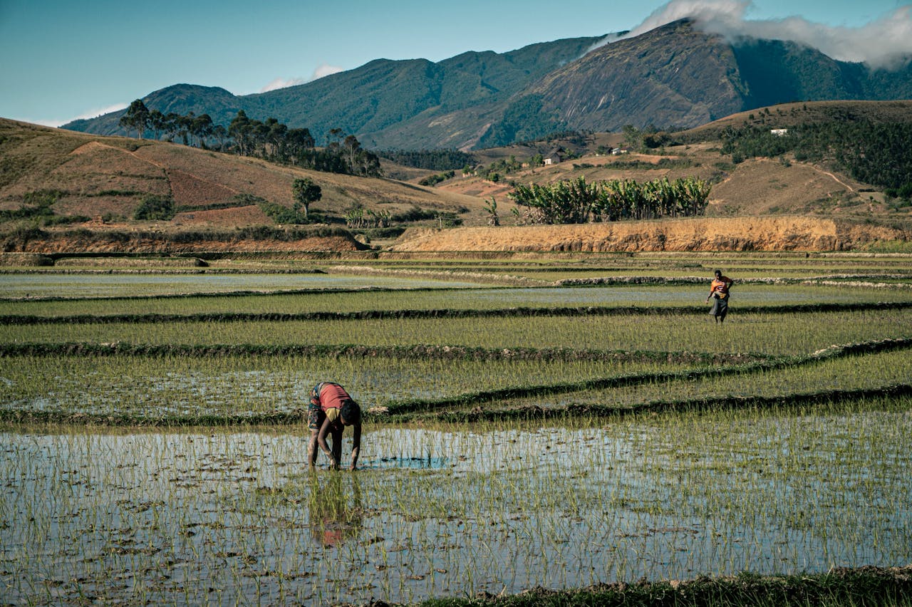 Image galerie madagascar-l-ile-qui-bouscule-les-reperes-et-ouvre-le-regard-694d17871a848.jpg
