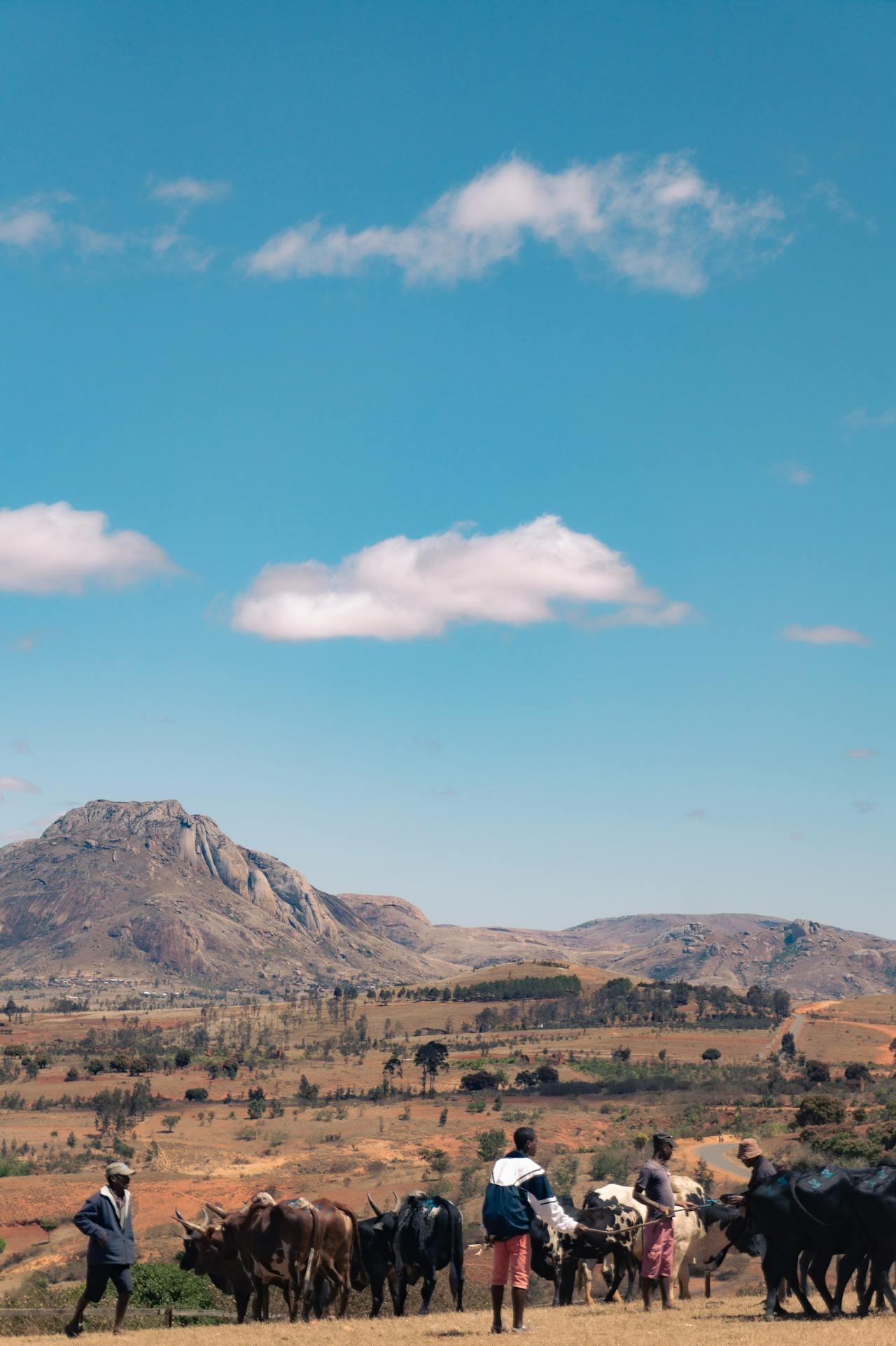 Image galerie madagascar-l-ile-qui-bouscule-les-reperes-et-ouvre-le-regard-694d17871aec2.jpg
